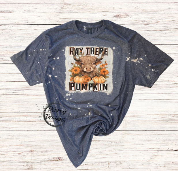 Hey There Pumpkin Bleached Shirt with Highlander Cow