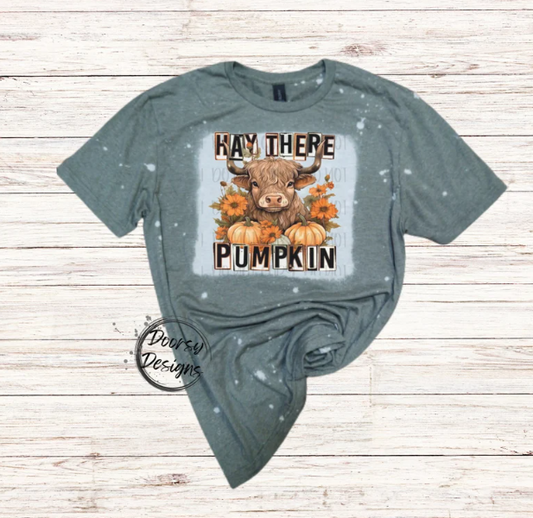 Hey There Pumpkin Bleached Shirt with Highlander Cow