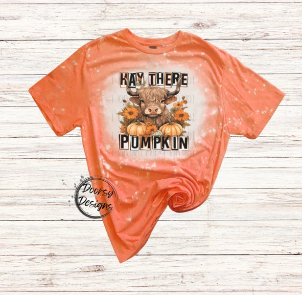 Hey There Pumpkin Bleached Shirt with Highlander Cow