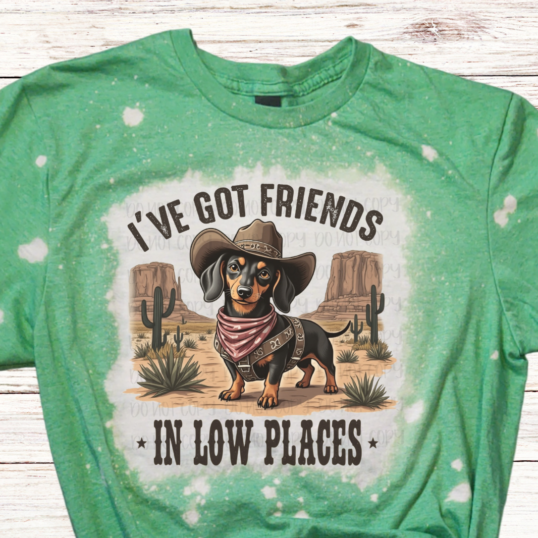 Friends in Low Places Bleached T-Shirt